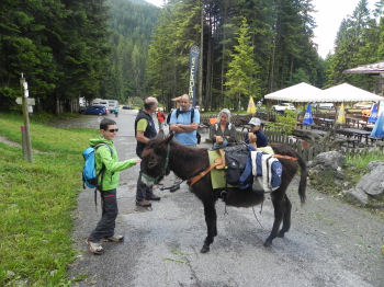 Incontro con gli asini in Val Canali (51840 bytes)